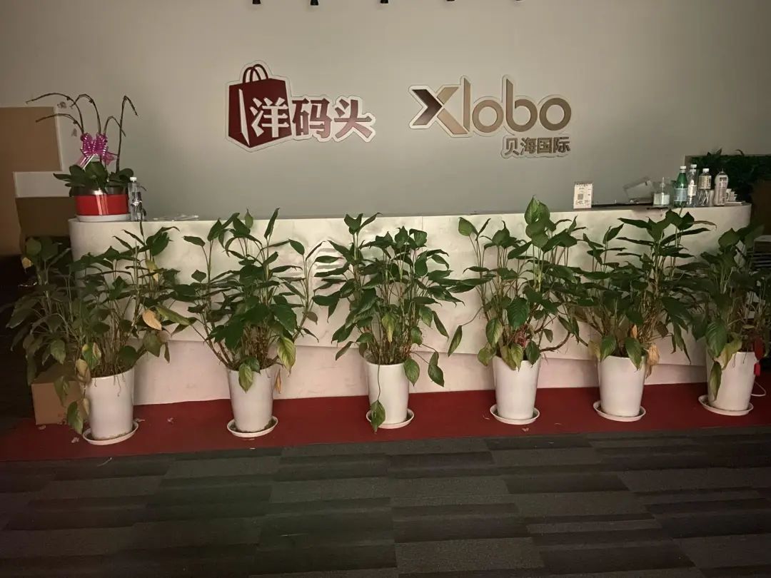 谁来解救欠款2亿、员工只剩50人的洋码头？